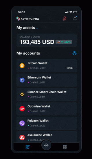 MANAGE TOKEN - EN (New) 4 add-custom-token-keyring-pro