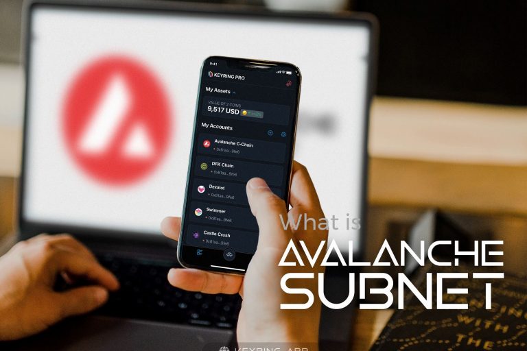 what is avalanche subnet what is avalanche subnet