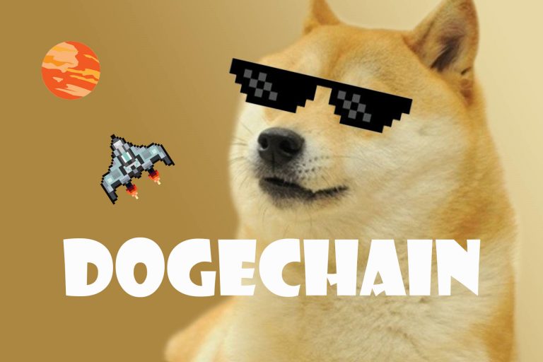 What is DogeChain What is DogeChain