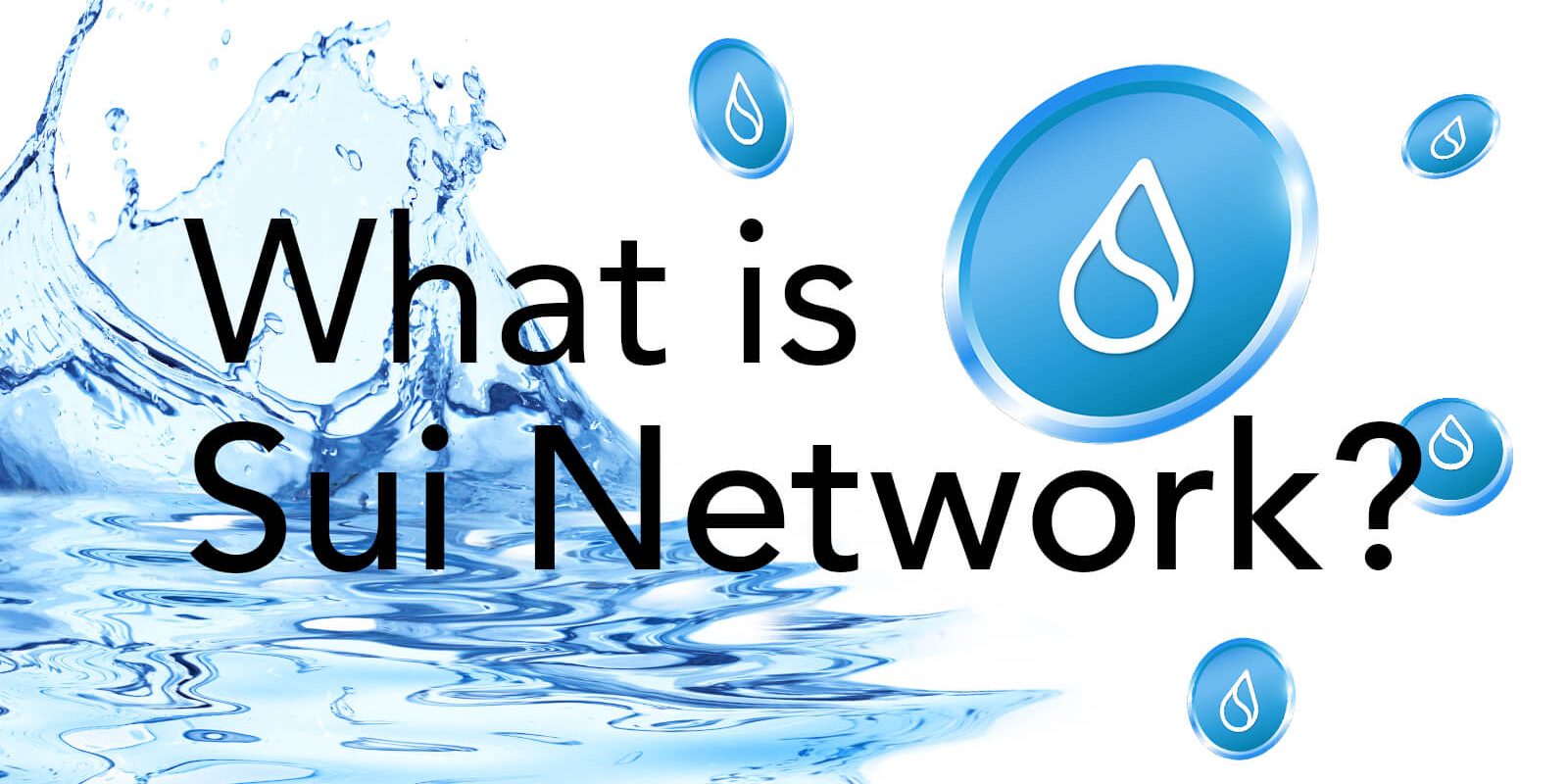 what is sui network_ what is sui network?